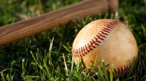 Laveen Baseball leagues