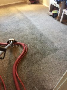 Ohana Carpet Care Before and After
