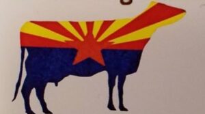 Cow with Arizona flag as its colors