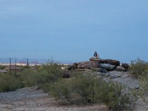 South Mountain park & Preserve is a favorite location for hiking, biking, and horseback riding for Laveen residents.